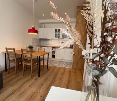 Borovany Wohnung | Rodinný Apartmán U Pralesa