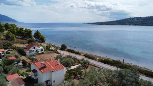 Komnina Wohnung | Rododafni Loft