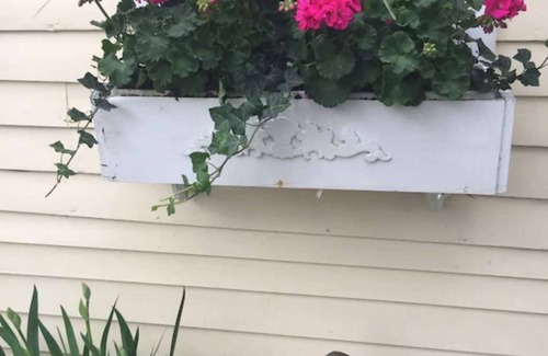 Eureka Springs Historic District Hütte | Romantische erfrischende 1890er Cottage Uptown Eureka Springs Wochentag Specials!