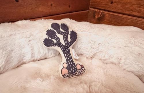 Joshua Tree Hotel | Room 1 - Downtown Joshua Tree Motel - Pet Friendly - Walk to Shops & Visitor Center, Minutes to Park Entrance