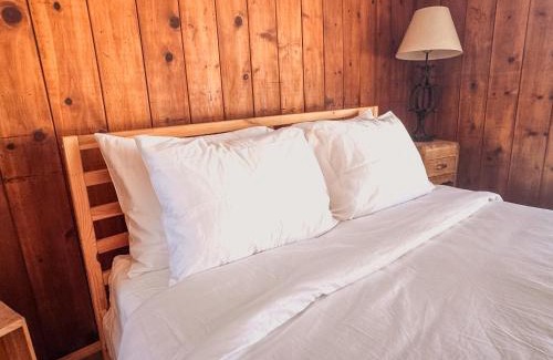 Joshua Tree Hotel | Room 4 - Downtown Joshua Tree Motel - Pet Friendly - Walk to Shops & Visitor Center, Minutes to Park Entrance