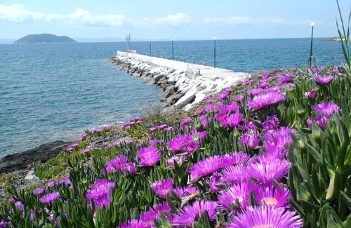 Neos Marmaras Haus | Room in BB - Welcome To Hotel petunia, In Neos-marmaras,xalkidiki ,greece, triple room 7
