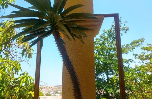 La Paz Haus | Room in Guest Room - Padrino's Hostal La Paz Full House