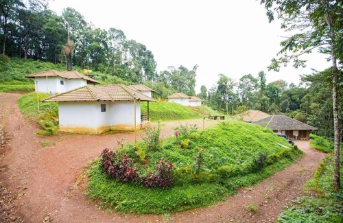 Madikeri Haus | Room in Lodge - The Nest Bettathur, Coorg Ct 003