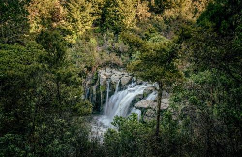 Matauri Bay Kabine | Rosewood Kauri Cliffs