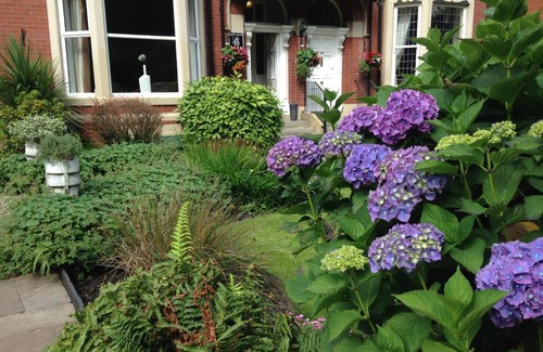 Bury Haus | Rostrevor Hotel - Guest House