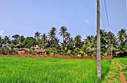 Gokarna Haus | Rudraksh Retreat