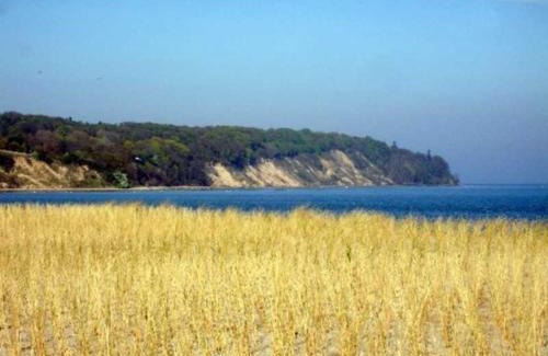 Putbus Wohnung | Rügen-Fewo 241