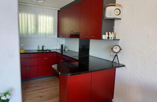 Weggis Wohnung | Ruhe-Oase mit traumhafter Sicht auf den Vierwaldstättersee