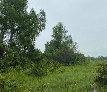 Kalimantan Haus | Rumbia Lodge