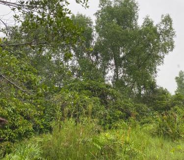 Kalimantan Haus | Rumbia Lodge