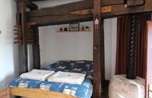 Donja Voca Haus | Rural house above the forest