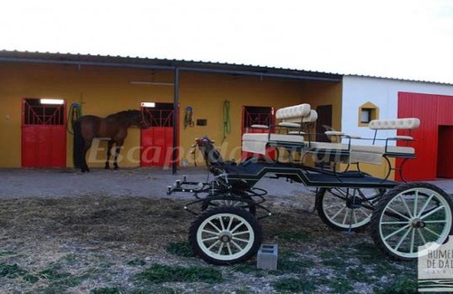 Daimiel Hütte | Landhaus mitten in der Natur