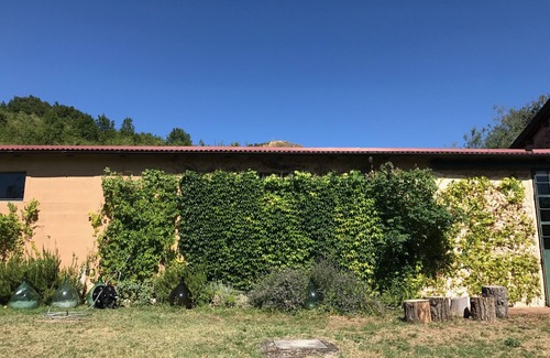 Monterenzio Haus | Rustikal zwischen Eichen und Tamarisken, im Valle Del Sillaro.