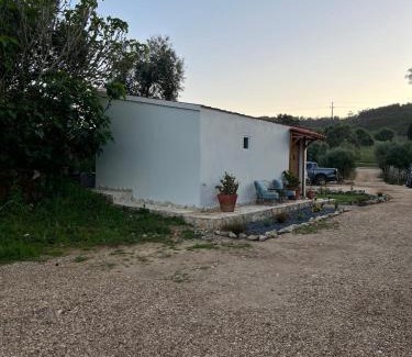 Barranco da Vaca Haus | Rustic cabin with pond and deck