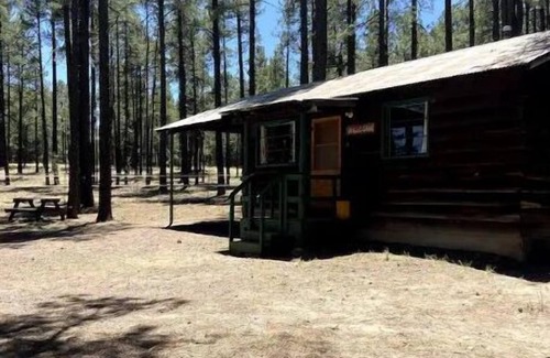 Alpine Kabine | Rustic Charm Cabin in the tall pines, Alpine AZ #4