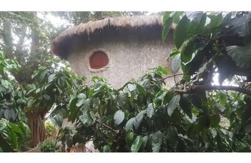 Kaimane Haus | Rustic Charm Wayanad - The Roots (Treetop Suite)