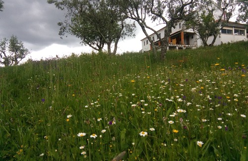 Gois Haus | Rustic house in a small village with amazing views