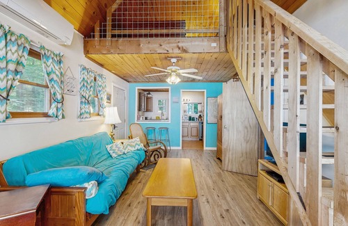 Wayne Kabine | Rustic lakefront cabin w/gas grill, firepit, kayaks, one canoe, A/C - 2 dogs OK