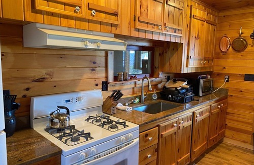 Dansville Kabine | Rustic Log Cabin with Pond and Breathtaking View