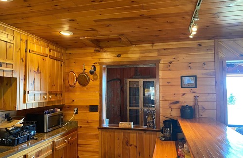 Dansville Kabine | Rustic Log Cabin with Pond and Breathtaking View