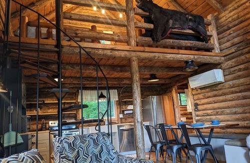 Bear Lake Kabine | Rustic Retreat Log Cabin Nestled Among 65 Acres