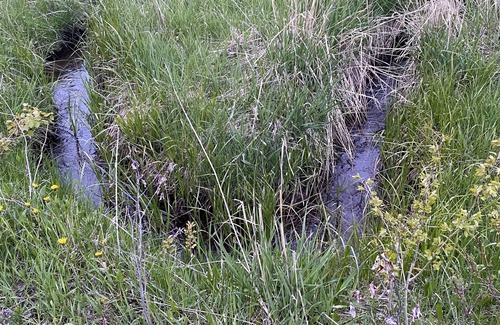Newcastle Kabine | Rustic Small Cabin in the Black Hills of Wy. Snowmobile right out the drive!