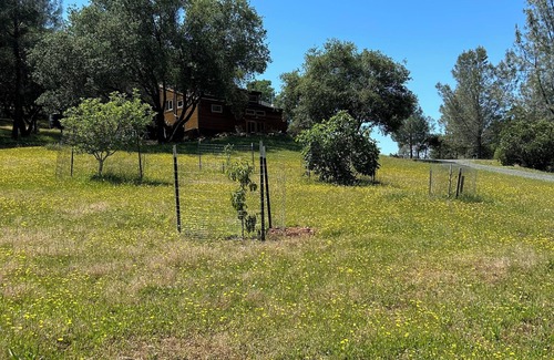 Penn Valley Wohnung | Rustic Studio Getaway Pet Friendly