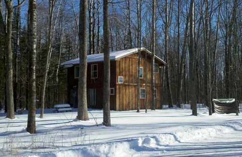 Finlayson Kabine | Rustikal Zwei Ebene Tree Lodge Durch den Wald mit Umgeben Kamin und Feuerstelle