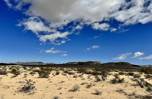 Wonder Valley Wohnmobilvermietung | Campground with fire pit under the stars