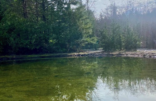 Seabeck Wohnmobilvermietung | RV Spaces with hookups, 5 private country acres, 20 min to town, Family friendly