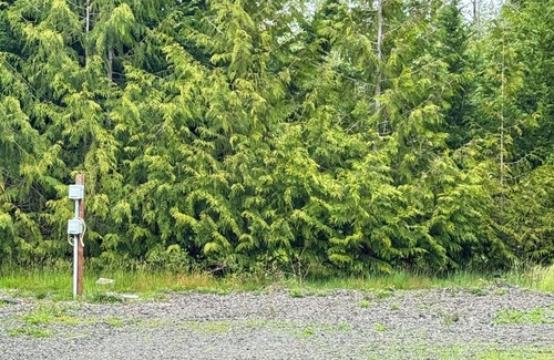 Seabeck Wohnmobilvermietung | RV Spaces with hookups, 5 private country acres, 20 min to town, Family friendly