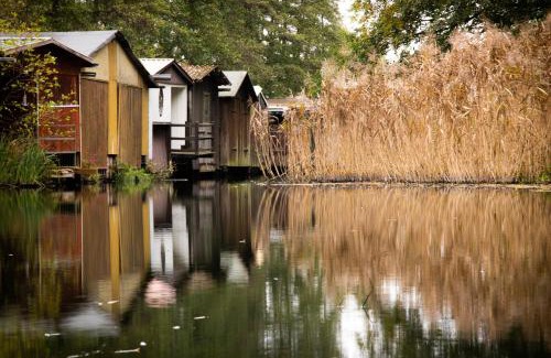 Muritz Haus | Südkugel - Kugelhaus in ökologischer Bauweise am Tollensesee