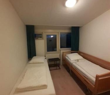 Diffelen Haus | Saevis tranquillus in undis in de IJsvogel