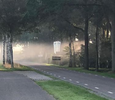 Diffelen Haus | Saevis tranquillus in undis in de IJsvogel