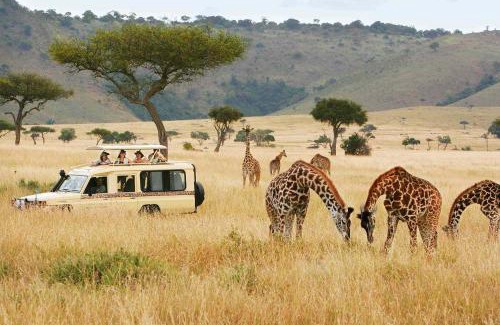 Taita Hills Sonstige | Safari Bubbles