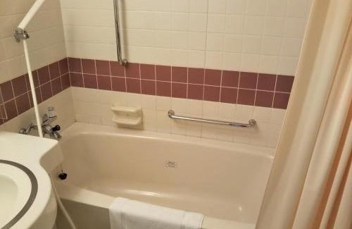 Nakagomi Hotel | Saku Grand Hotel