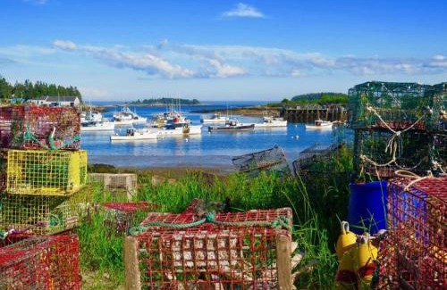 Corea Haus | Saltwater Serenade