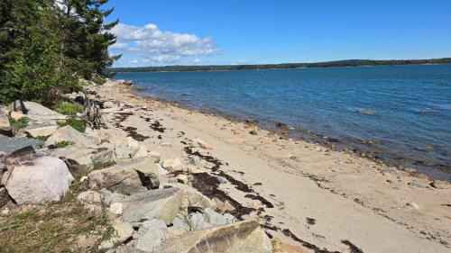 Corea Haus | Saltwater Serenade