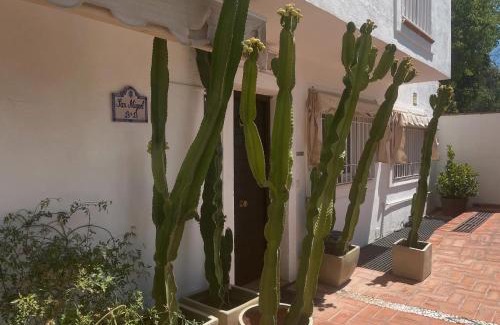 Beiro Bed & Breakfast | San Miguel B&B Granada