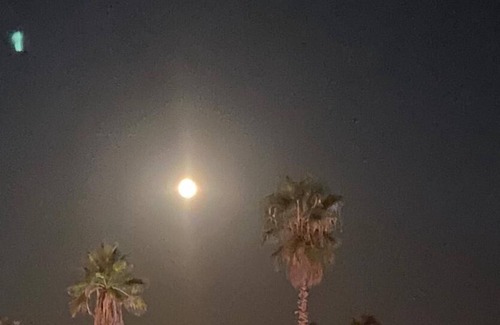 Moriani-Plage Wohnung | San Nicolao de Moriani: les Marines studio sea view with direct beach access.