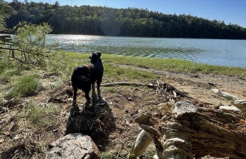 Harpswell Wohnmobilvermietung | Sanctuary Campsite with Secret Beach