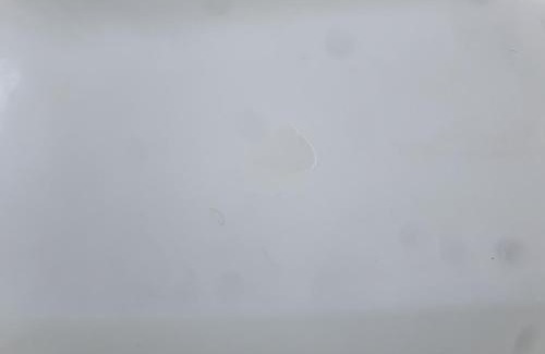 Greater Johannesburg Metropolitan Area Haus | Sandton Guesthouse 5 Bedrooms 6 Beds Pool Tennis Court Free WIFI