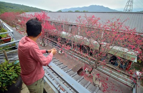 Sanyi Haus | Sanyi Wei Wei Feng B&B