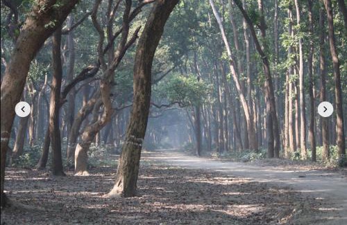 Puranpur Haus | Sapt Sarovar Homestay