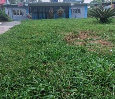Chachian Haus | saraswati home stay