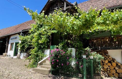 Saschiz Haus | Saschiz 130/Lodging and Glamping
