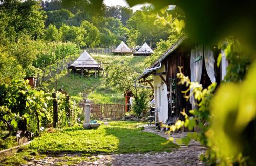 Saschiz Haus | Saschiz 130/Lodging and Glamping