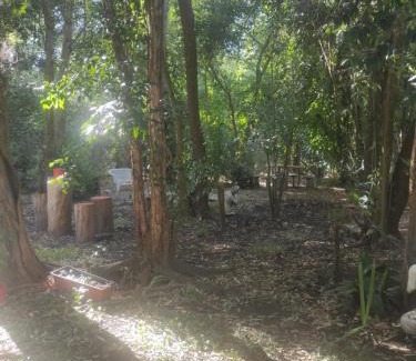 Ruiz Wohnung | Savra