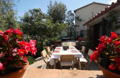 Lugnano in Teverina Haus | SCAPPO IN UMBRIA, la casa di Giuliana